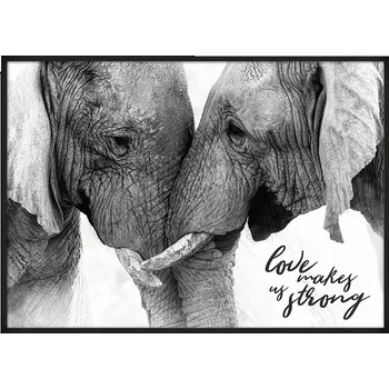 Obraz OBRAZ PLAKÁT V RÁMU 53x73 cm Sloni P665