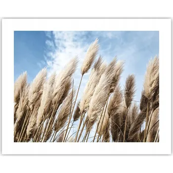 Obraz Obraz plakát na zeď bez rámu 50x40 trávy umění foto obývací pokoj ložnice