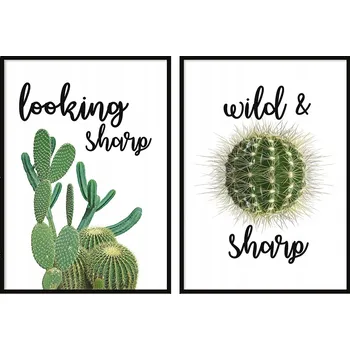 Obraz OBRAZ PLAKÁTY V RÁMU 53x73cm Dyptych Sada 2 obrazů Kaktusy P711