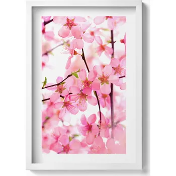 Obraz Obraz grafika v bílém rámu Růžové jarní květy na větvích 40x60 cm