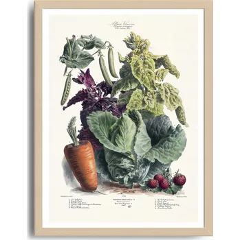 Obraz Plakát Obrázek do Kuchyně Zelenina A3 bez rámu 29,7 x 42 cm