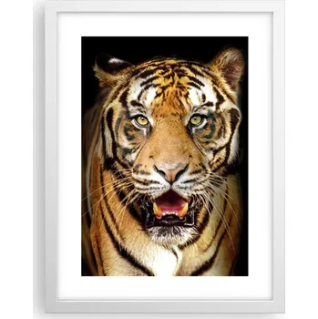 Obraz Obraz plakát v bílém rámu do obýváku 30x40 zvířata plakáty na zeď