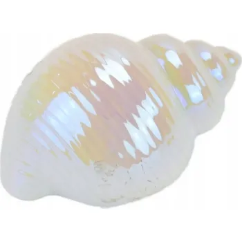 Obraz Keramická mušle, bílá perla, 7x10 cm