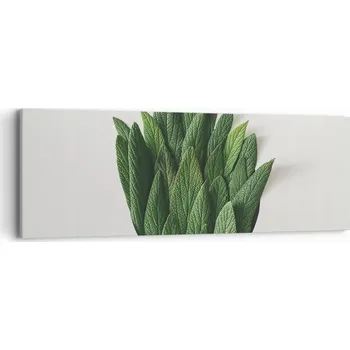 Obraz Obraz na plátně do obývacího pokoje ložnice 90x30 šalvěj foto obrazy na zeď