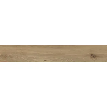 Dlažba DLAŽBA DEVONWOOD BROWN MATT 19,8X119,8