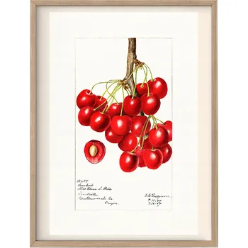 Obraz Plakát Obrázek do kuchyně Ovoce A3 bez rámu 28 x 42 cm