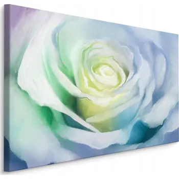 Obraz Obraz na plátně KVĚT Růže Příroda Dekor 3D 40x30