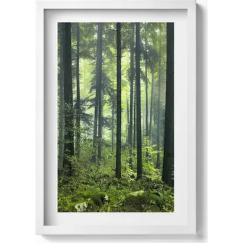 Obraz Závěsný obraz rámeček bílé barvy Krajina stromů a rostlin lesa 40x60 cm