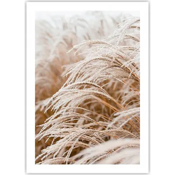 Obraz Plakát bez rámu do obývacího pokoje ložnice 50x70 tráva boho moderní módní obraz