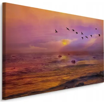 Obraz Obraz OCEAN vlny ptáci krajina do obýváku 70x50