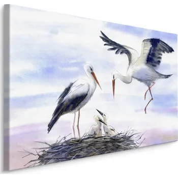 Obraz Obraz ptáci čápi akvarel nebe mraky 30x20