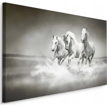 Obraz Obraz do chodby černo bílí koně cval 100x70