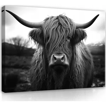Obraz OBRAZ NA PLÁTNĚ OBRAZ NA PLÁTNĚ SKOTSKÁ KRAVA NA ZEĎ DO LOŽNICE OBÝVACÍHO POKOJE MODERNÍ 100x70