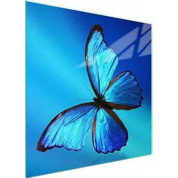 Kuchyňské prkénko Krájecí deska TMK ArtDeko sklo 1 ks