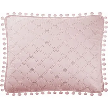 Obraz POVLAK NA POLŠTÁŘ 50x70 POMPOO, PUDROVÁ