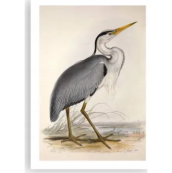 Obraz Plakát bez rámu do obýváku ložnice 50x70 pták moderní módní obraz