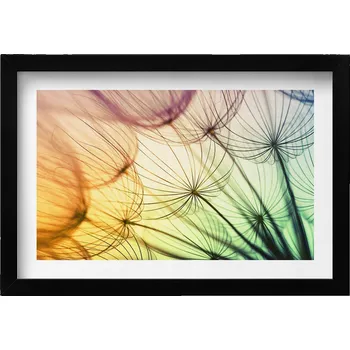 Obraz Dekorativní nástěnný obraz v rámu do obýváku Jemné chmýří pampelišky 30x20 cm