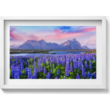 Obraz Dekorace obraz s grafikou v krásném rámu Levandulová pole - Island 60x40 cm