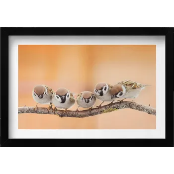 Obraz Moderní nástěnná dekorace obraz v černém rámu Ptáci na větvi 30x20 cm