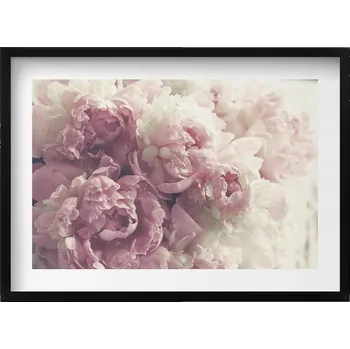 Obraz Obraz v černém rámu na zeď - Subtilní květy pivoňky 70x50 cm