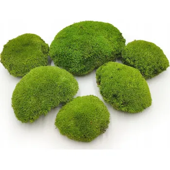 Obraz Polštářový Mech - Světle zelený přírodní PREMIUM - 100 g ŠVÉDSKO