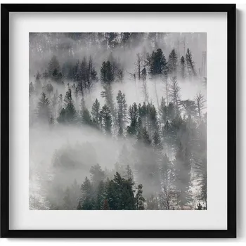 Obraz Dekorace, obraz s grafikou v krásném černém rámu - Mlhavá krajina lesa, 50x50 cm