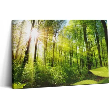 Obraz Fotoobraz na plátně Stylový Dárek Do Kanceláře Sluneční Paprsky V Lese