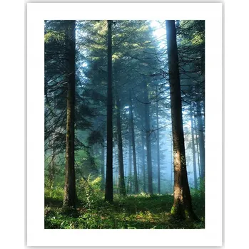 Obraz Obraz plakát na zeď bez rámu 40x50 krajina plakáty do obýváku ložnice