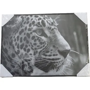 Obraz OBRAZ NA ZEĎ ZVÍŘE 28X38 CM