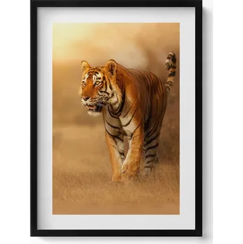 Obraz Obraz s černým rámem a grafikou na zeď Divoký tygr na lovu 50x70 cm
