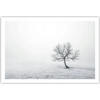 Obraz Obraz plakát do obýváku ložnice 91x61 krajina foto na zeď bez rámu