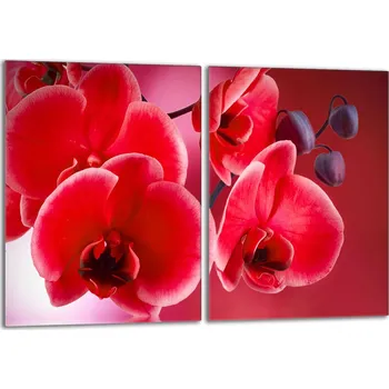 Obraz Krájecí deska TMK ArtDeko sklo 2 ks