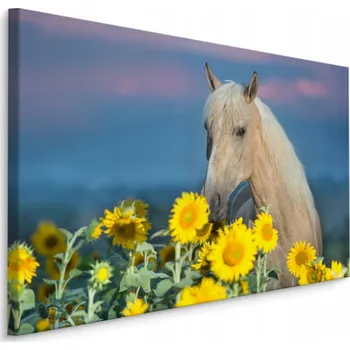Obraz Obraz canvas Kůň, květiny, slunečnice, příroda 70x50