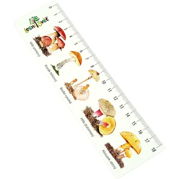 Doplněk ke knize Lesní svět Papírová záložka s měřítkem - Houby