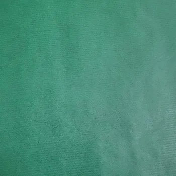 Obraz Zelený balicí papír barevný 70 cm x 2 m 172m70