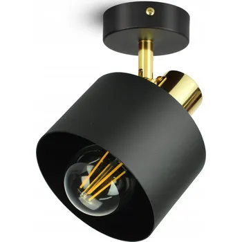 Stropní Svítidlo Stropní Svítidlo Classic Spot EG1 LED E27