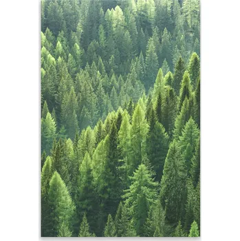 Kuchyňské prkénko Skleněná Ochranná Deska a Krájecí Prkénko | Indukce, Sporák ds-0417