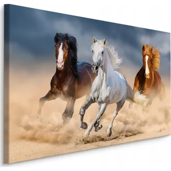 Obraz Obraz na plátně Koně cválající v písku 70x50 cm