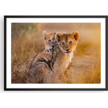 Obraz Plakát v černém rámu do obývacího pokoje ložnice 70x50 zvířata moderní obraz