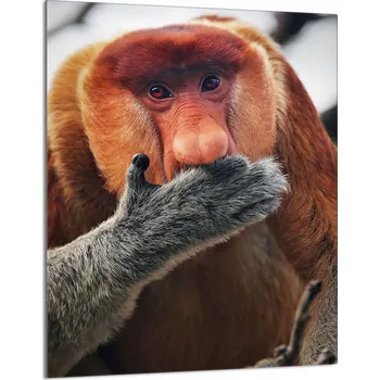 Obraz Krájecí deska TMK ArtDeko sklo 1 ks