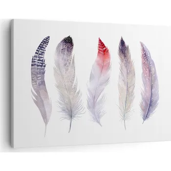 Obraz Obraz na plátně do obýváku ložnice 70x50 ptačí pero obrazy na zeď