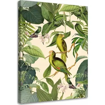 Obraz Obraz na plátně Canvas, Exotické ptactvo
