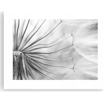 Obraz Obraz plakát do obýváku ložnice 40x30 minimalismus foto na zeď bez rámu