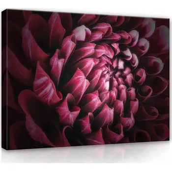 Obraz OBRAZ NA PLÁTNĚ 60x40 PIVOŇKA