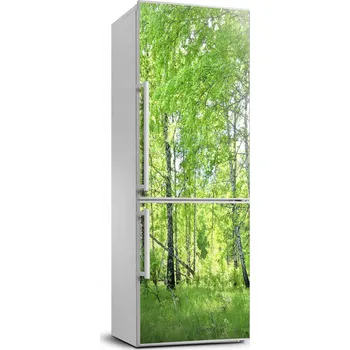 Fototapeta Fototapeta / Samolepka na ledničku - Březový les