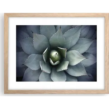 Obraz Obraz plakát v rámu světlý dub do obýváku 40x30 květ agáve foto na zeď