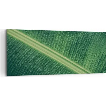Obraz Foto obraz na plátně 100x40 zelený list, do obýváku i ložnice, velký nástěnný
