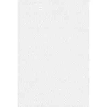 Umělecký papír Ozdobný papír Tintoretto Gesso 250g bílý A4 10 listů - na pozvánky a přání