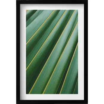 Obraz Obraz s černým rámem a grafikou na zeď: Struktura zelené rostliny, 40x60 cm