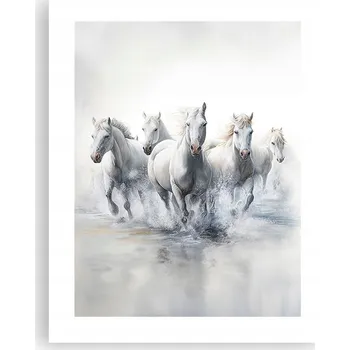 Obraz Obraz plakát na zeď bez rámu 40x50 foto plakáty do obýváku ložnice